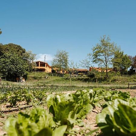 Casa Rural En El Campo Las Dalias Tordera Exterior foto