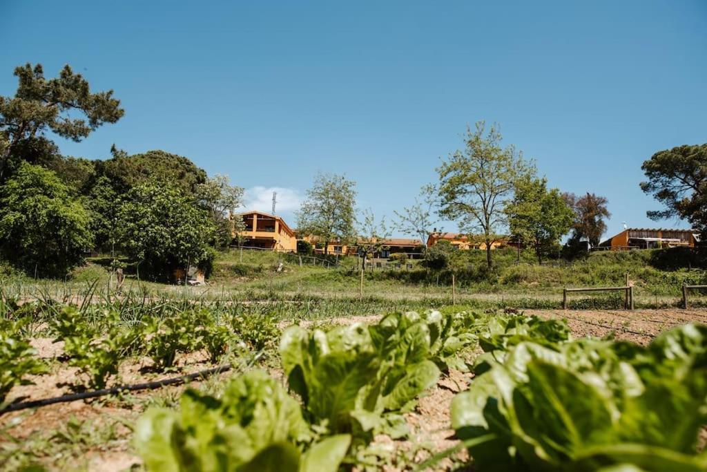 Casa Rural En El Campo Las Dalias Tordera Exterior foto